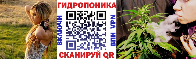 Наркота Нестеровская Псилоцибиновые грибы  Каннабис  Кокаин  АМФ 
