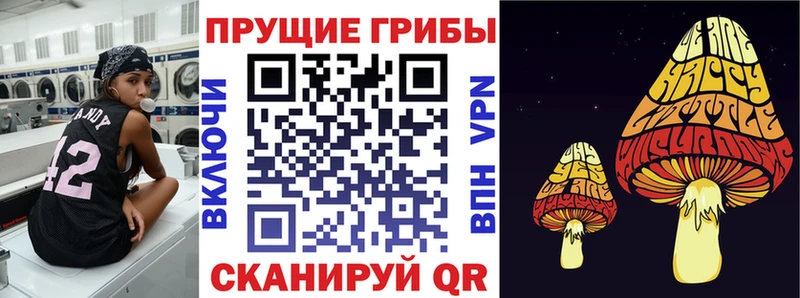 Галлюциногенные грибы ЛСД  нарко площадка телеграм  Нестеровская 