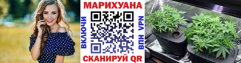 где купить наркоту  гидра маркетплейс  даркнет официальный сайт  Нестеровская  Бошки Шишки семена 